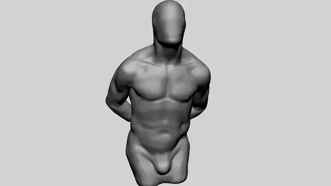 Male Torso Printable v3 3D print model
