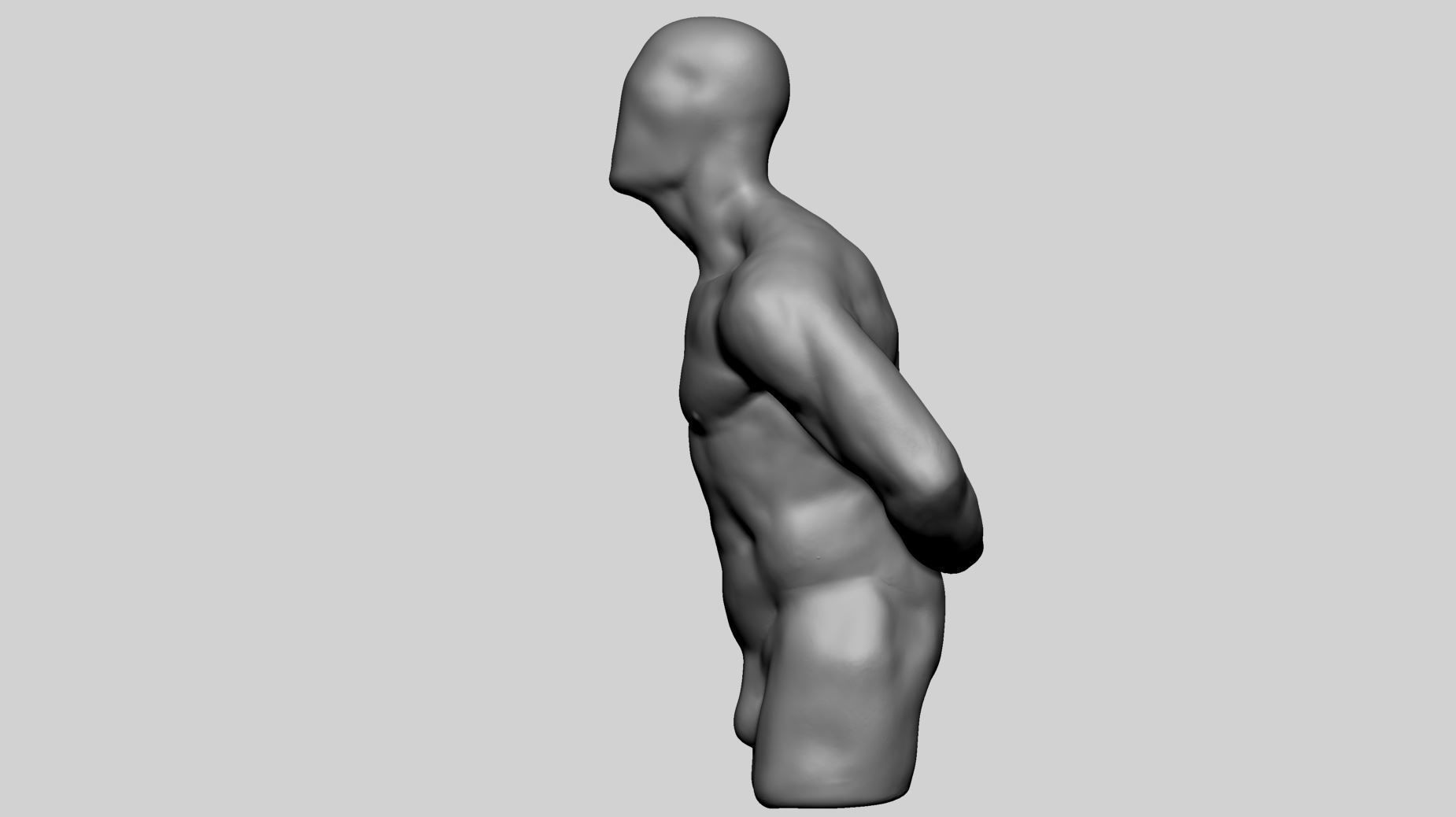 Male Torso Printable v3 3D print model_4