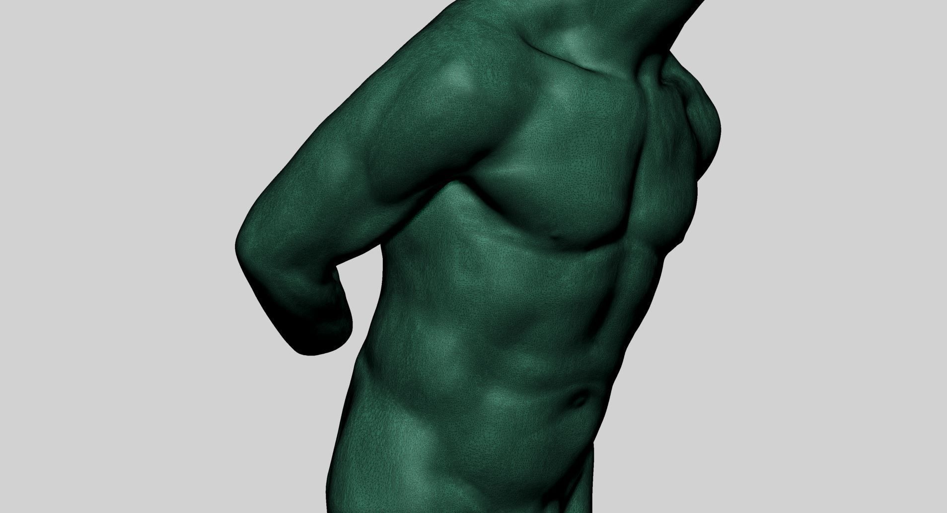 Male Torso Printable v3 3D print model_10