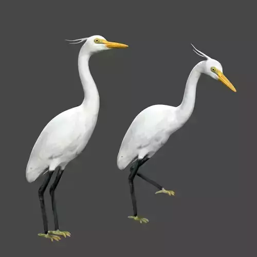 Egret great Low-poly 3D model