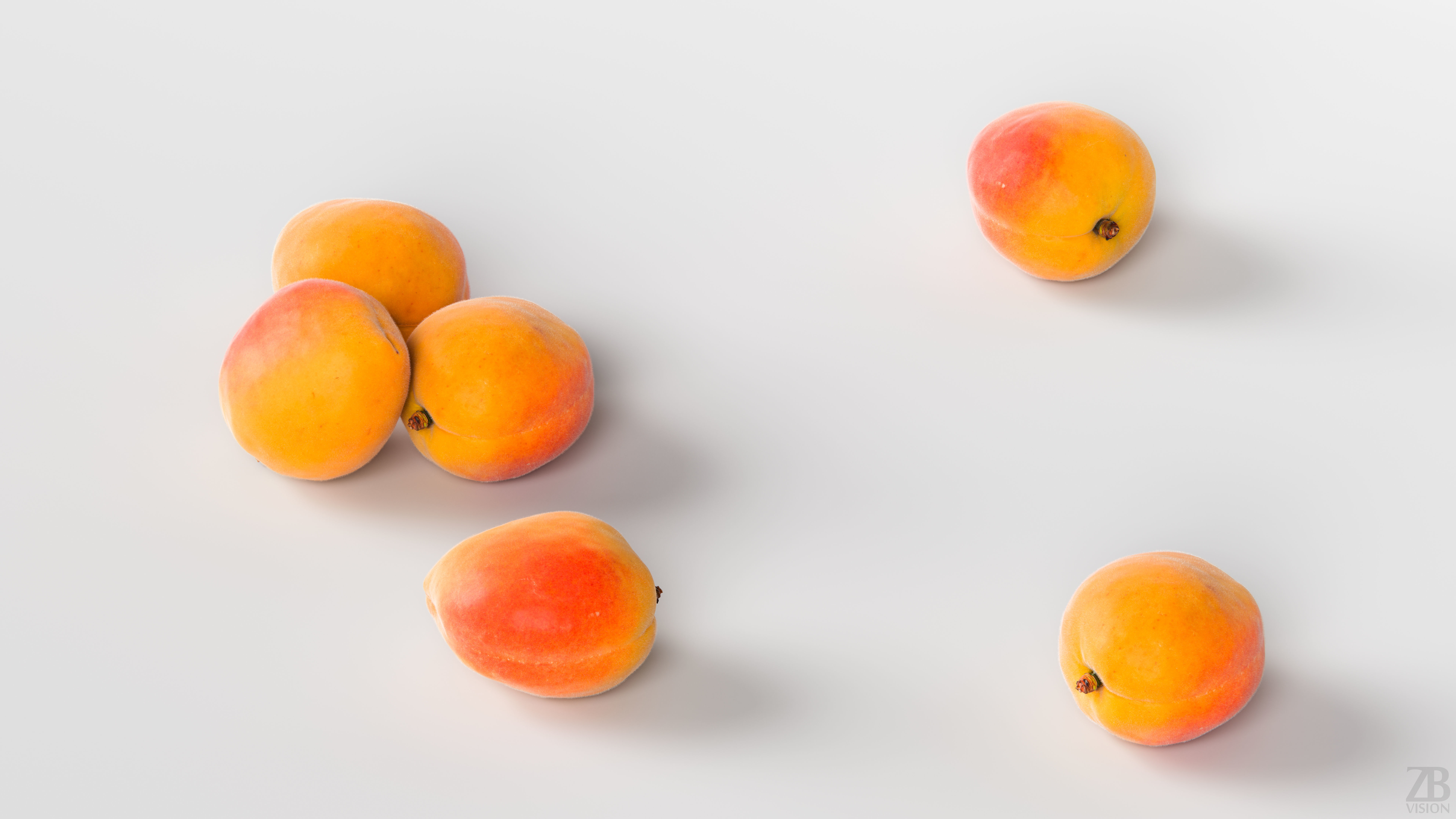 Apricot 3D model_2