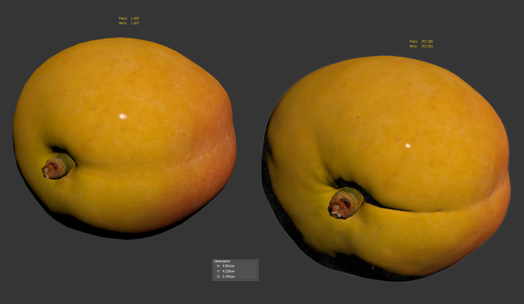 Apricot 3D model_9
