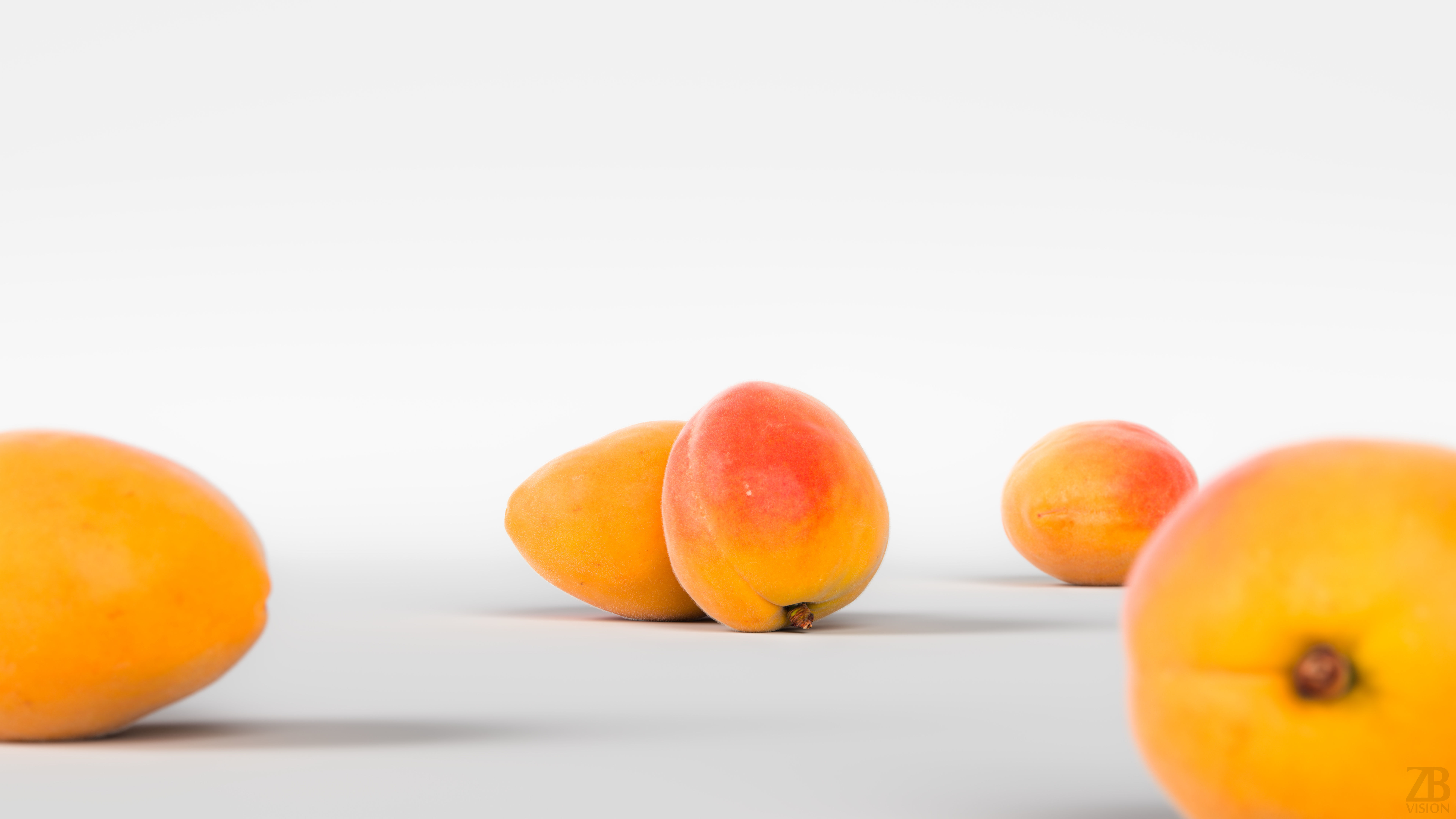 Apricot 3D model_1