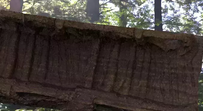 Wooden ornate wall carving