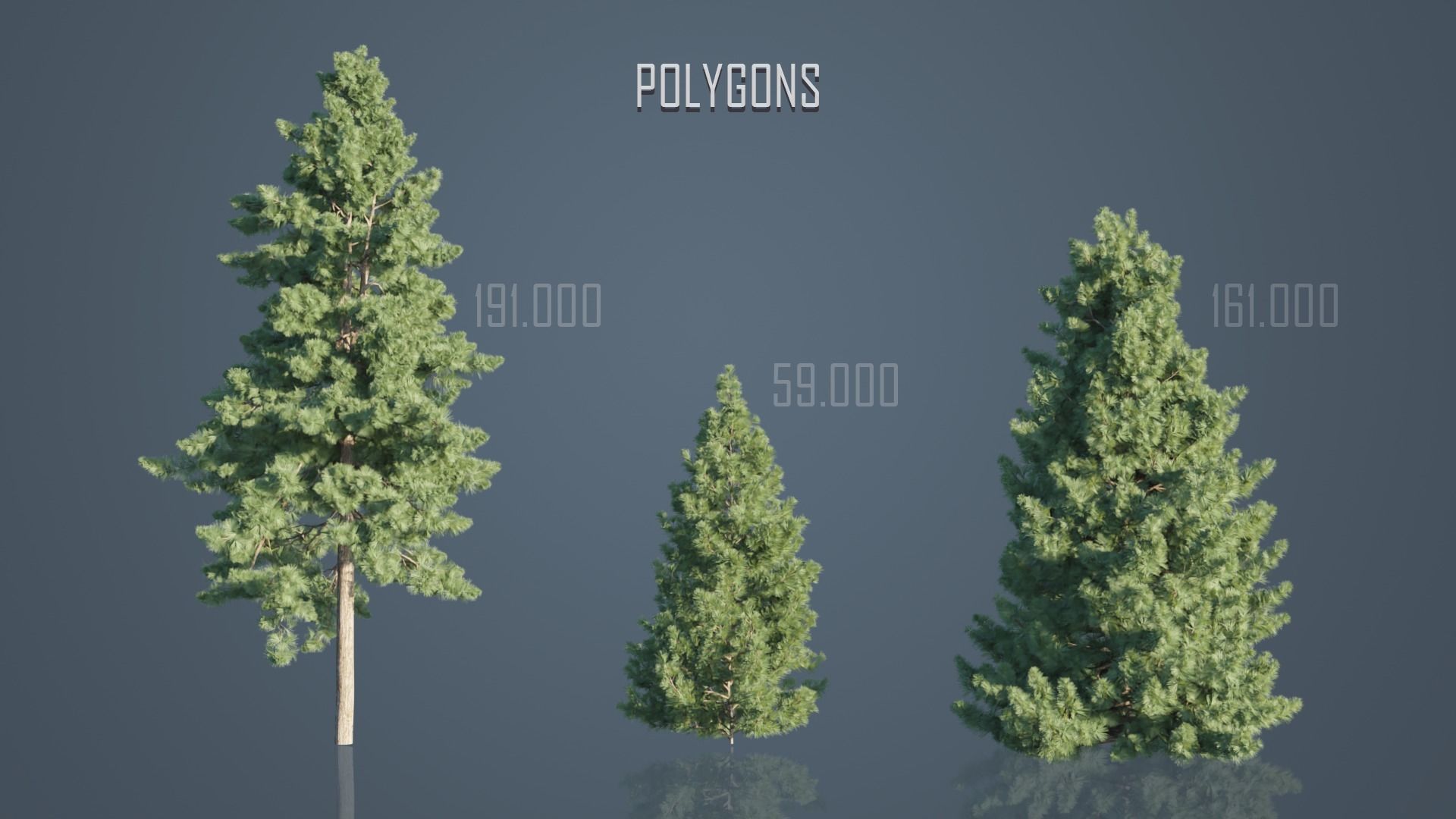 Japanese Umbrella Pine Trees Low-poly 3D model_8