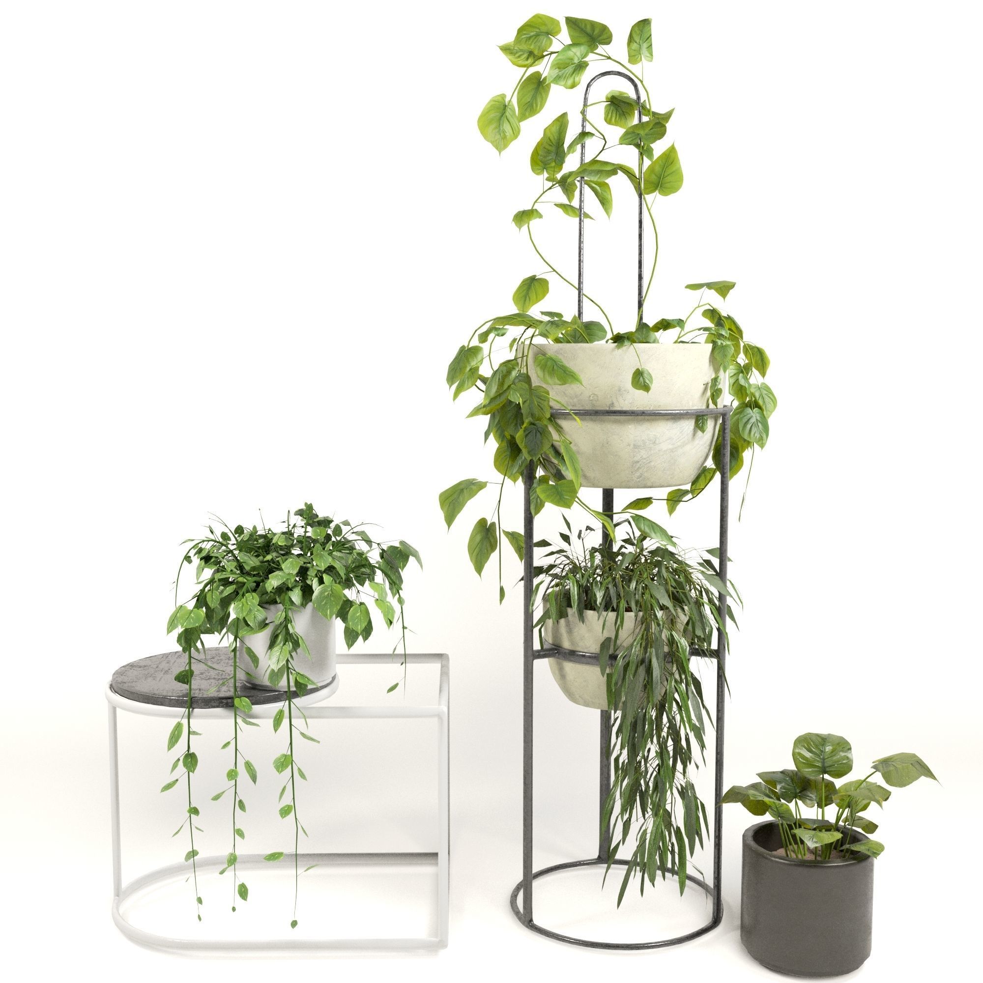 50 Plants Pack Stands Pots 3D model_5