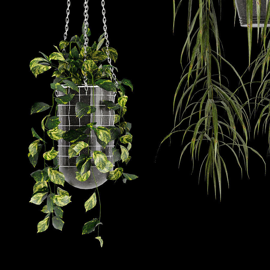 50 Plants Pack Stands Pots 3D model_8