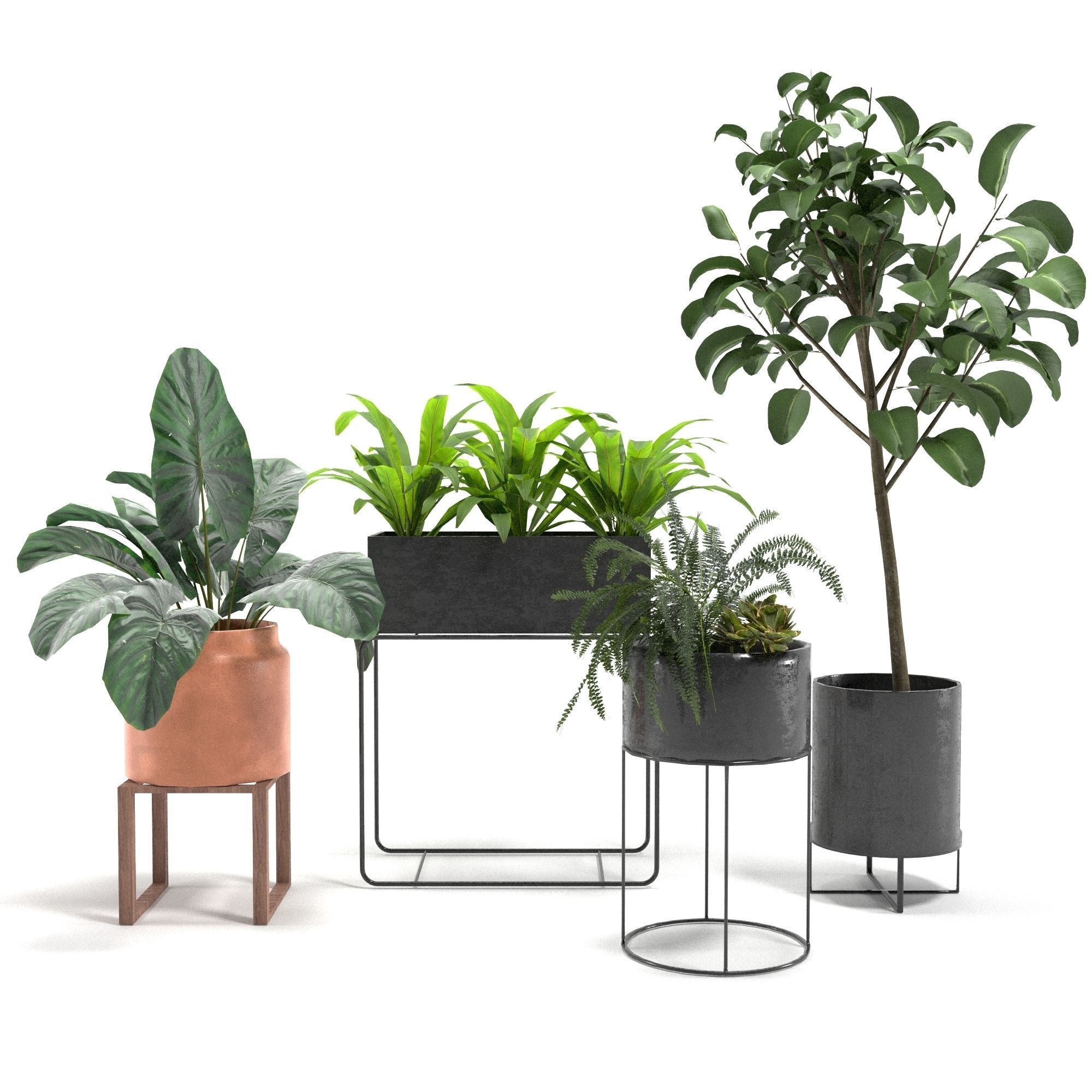 50 Plants Pack Stands Pots 3D model_3