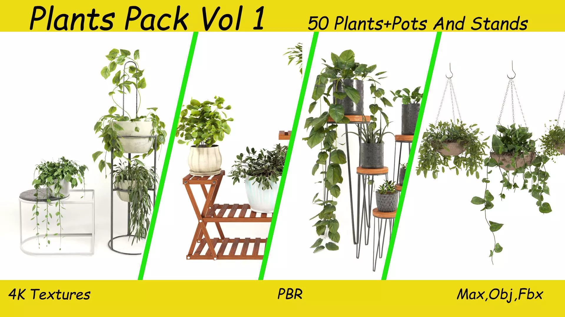 50 Plants Pack Stands Pots 3D model_0