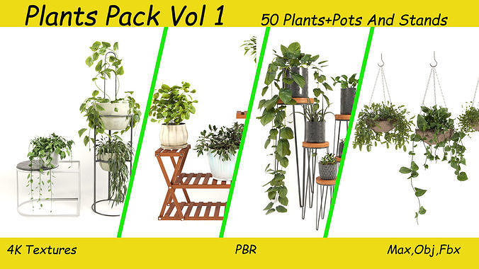 50 Plants Pack Stands Pots 3D model