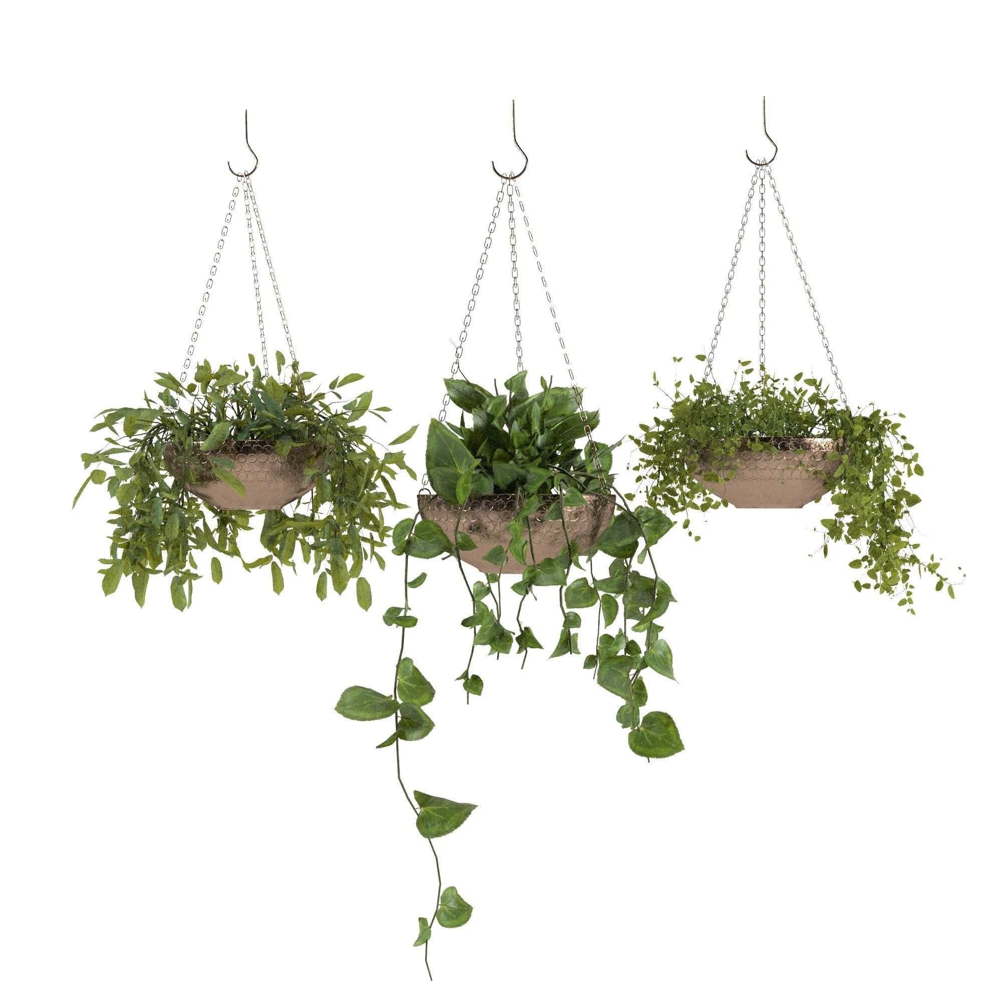 50 Plants Pack Stands Pots 3D model_10