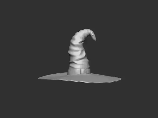 Witch Hat 3D model