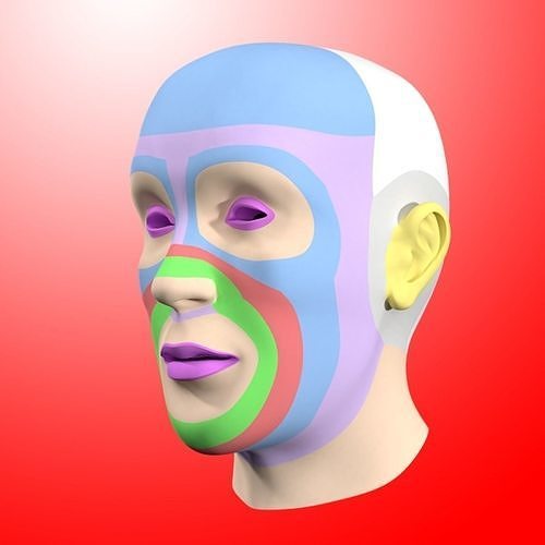 Head Base Mesh 3D model-Cabeza Base 3D model