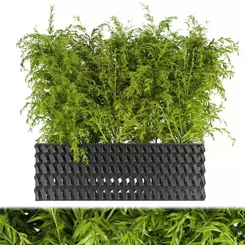 Collection plant vol 206 3D model