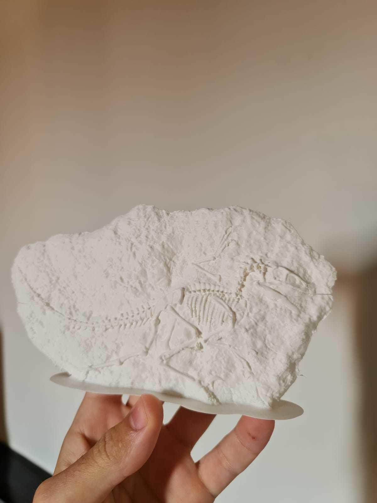 Velociraptor Fossil 3D print model_2