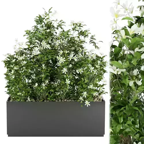 Collection plant vol 207 3D model