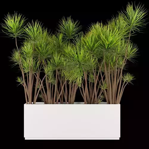 Collection plant vol 214 - indoor 3D model