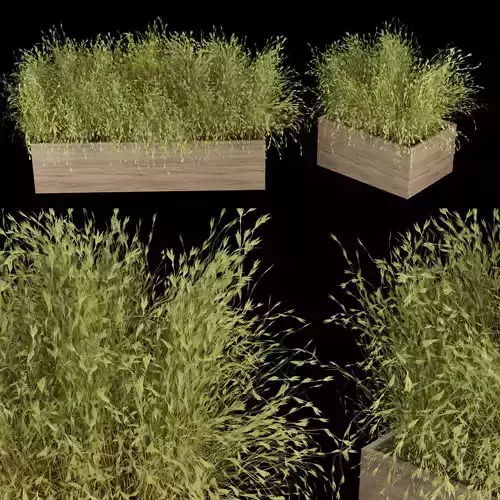 Collection plant vol 223 3D model