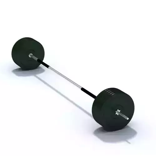 Weights With Bar
