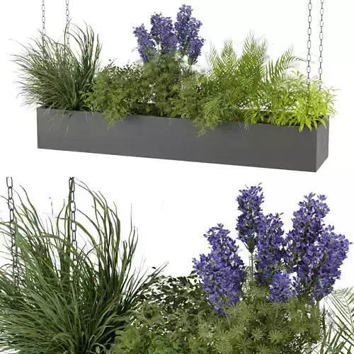 Collection plant vol 225 3D model