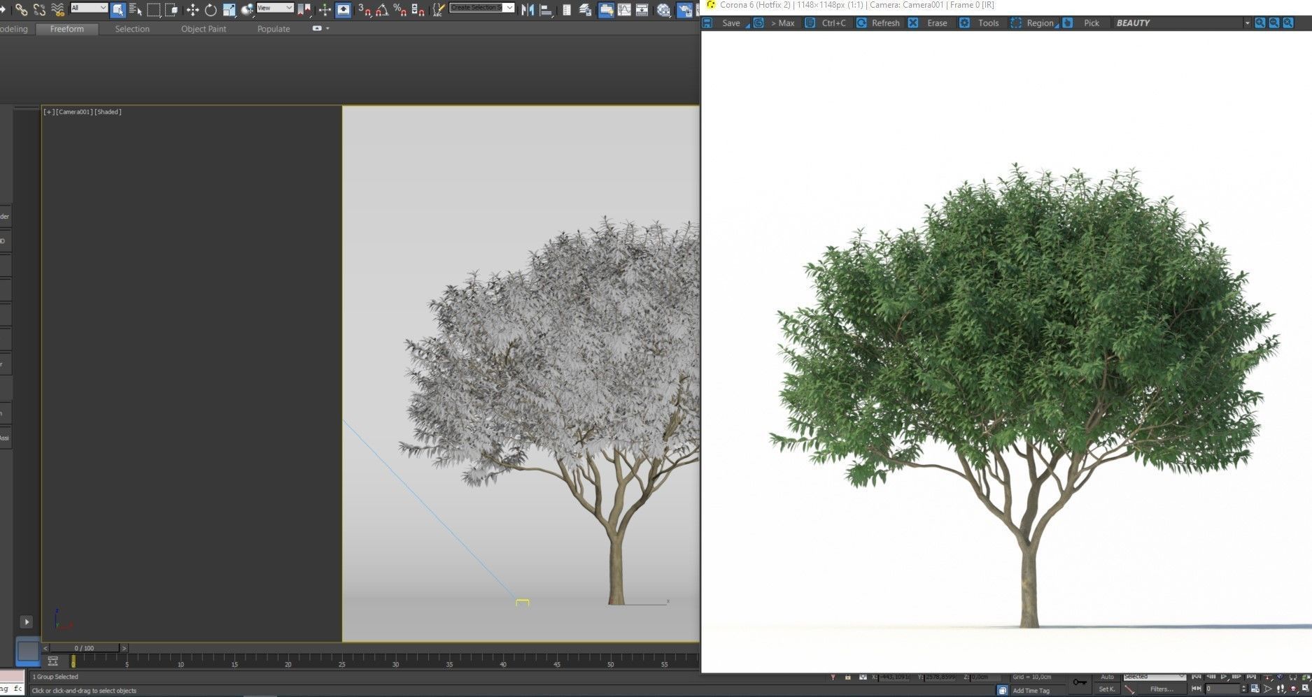 Crape myrtle No 2 3D model_10