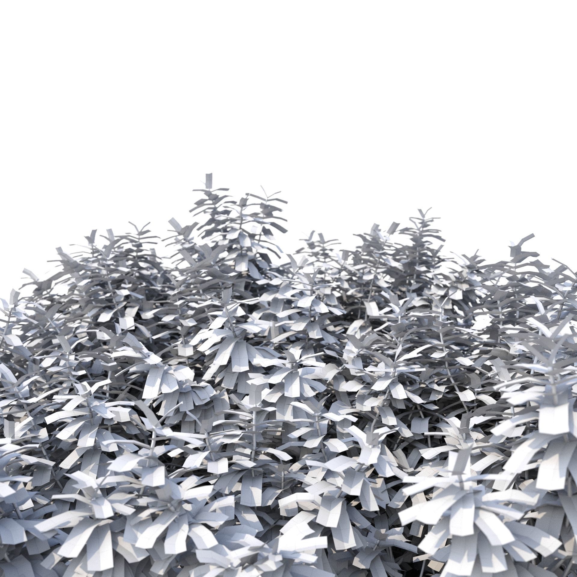 Crape myrtle No 2 3D model_8