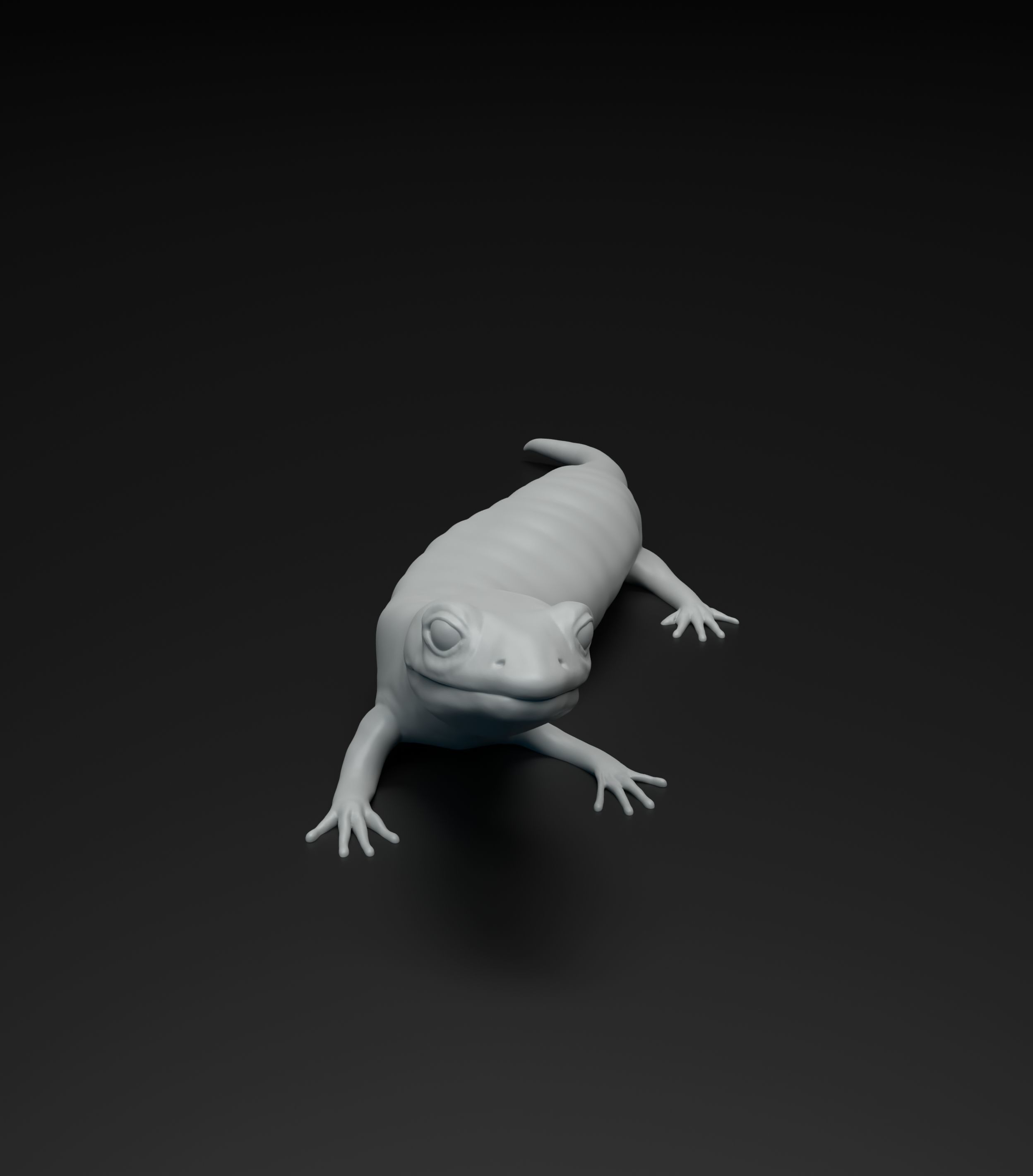 Salamander model intended for 3D printing 3D print model_3