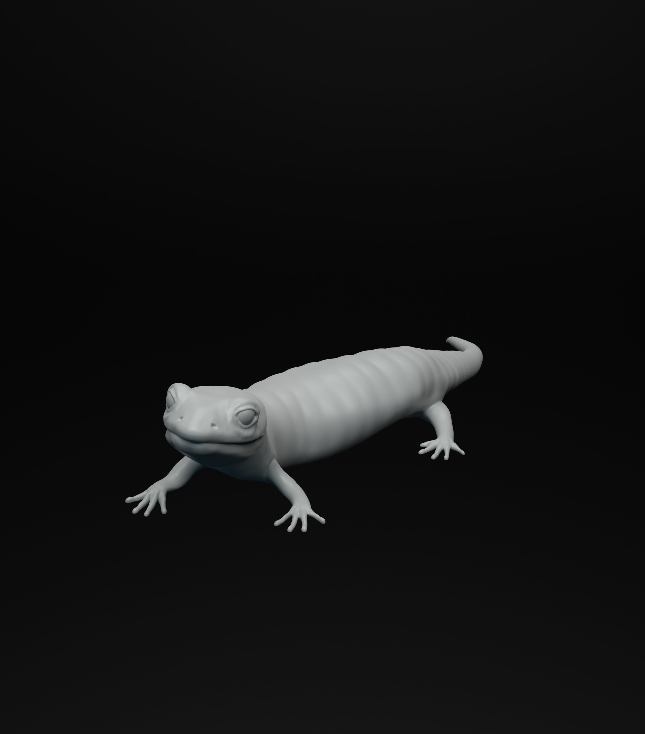 Salamander model intended for 3D printing 3D print model_2