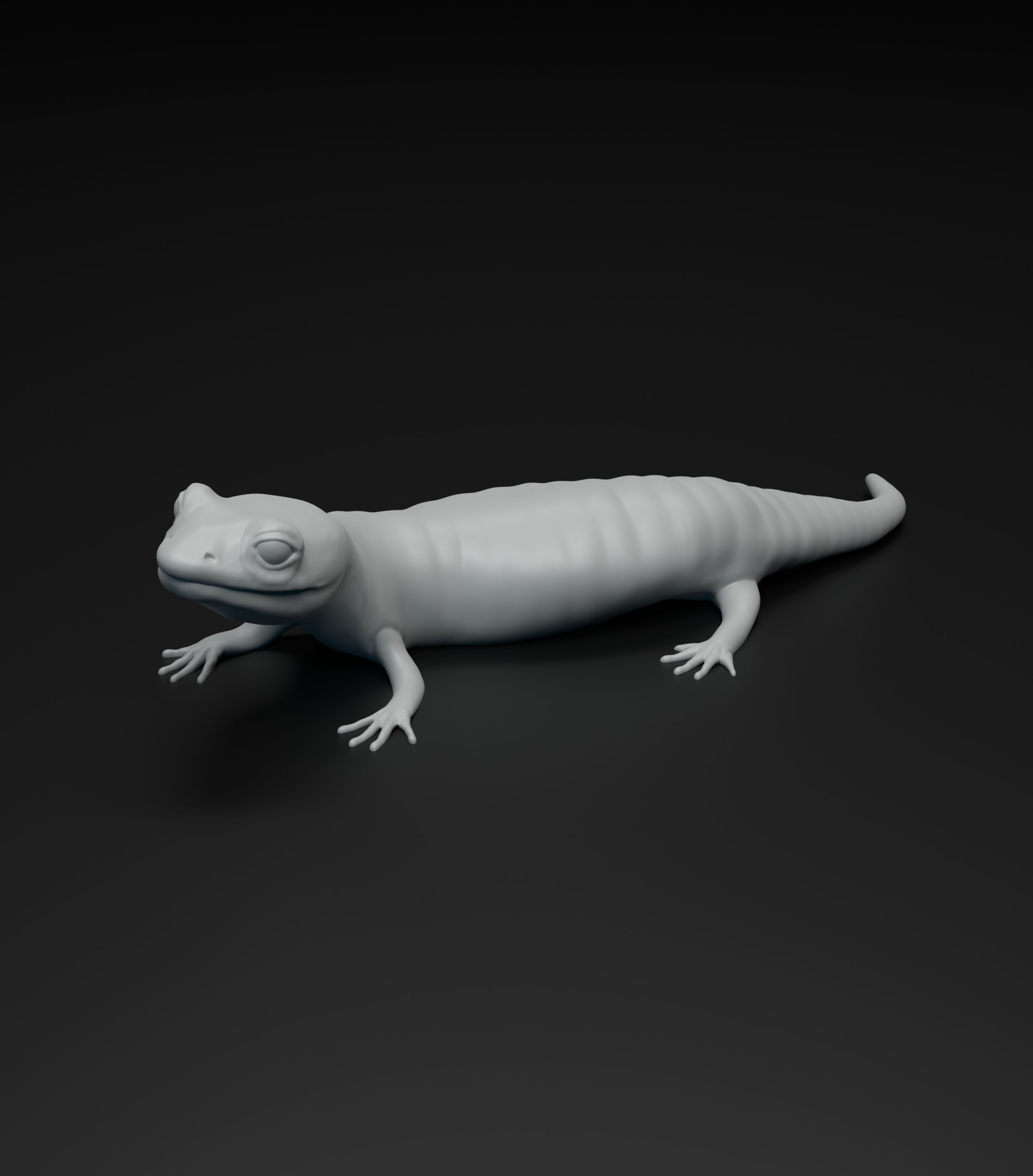 Salamander model intended for 3D printing 3D print model_5