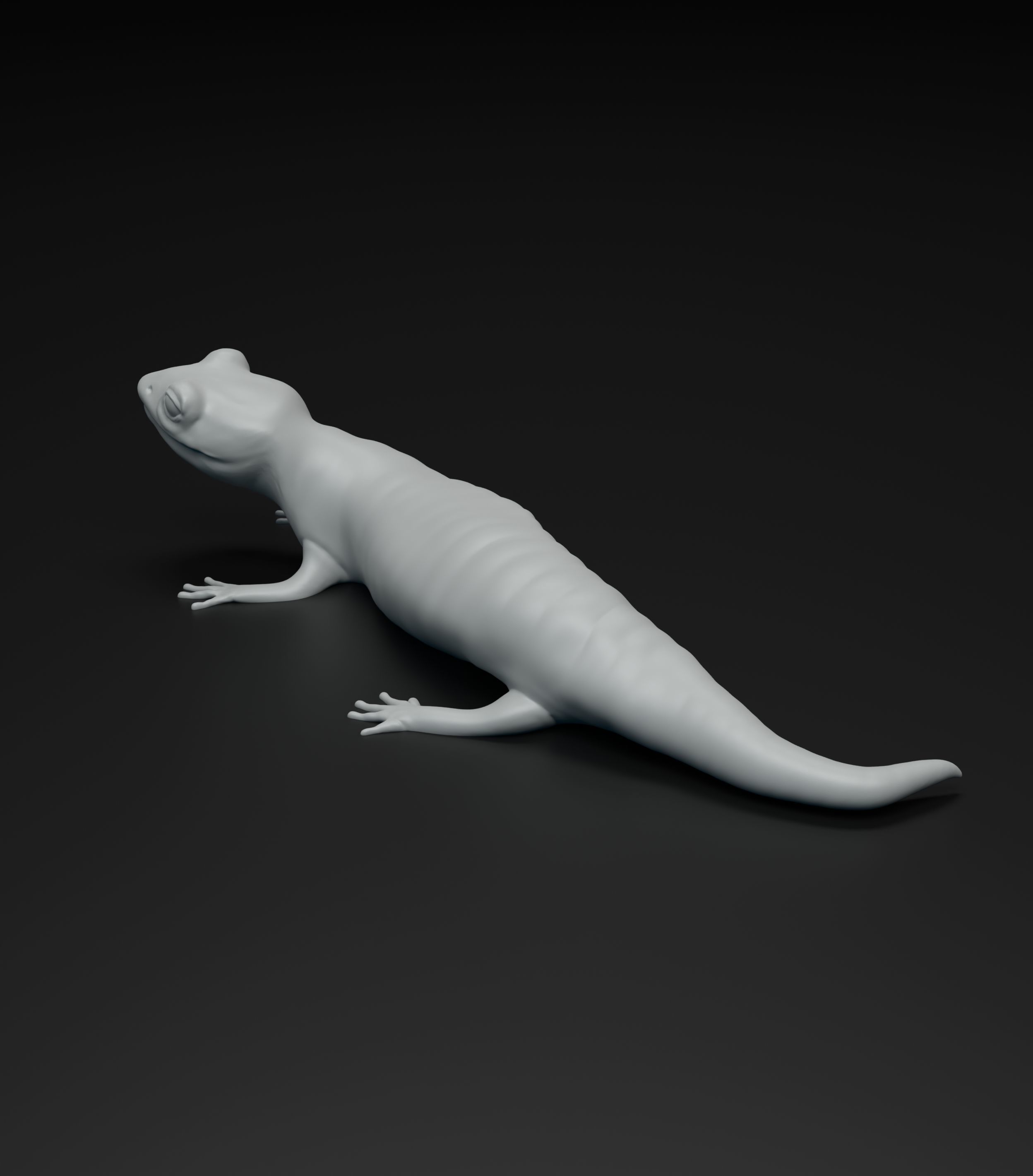 Salamander model intended for 3D printing 3D print model_6