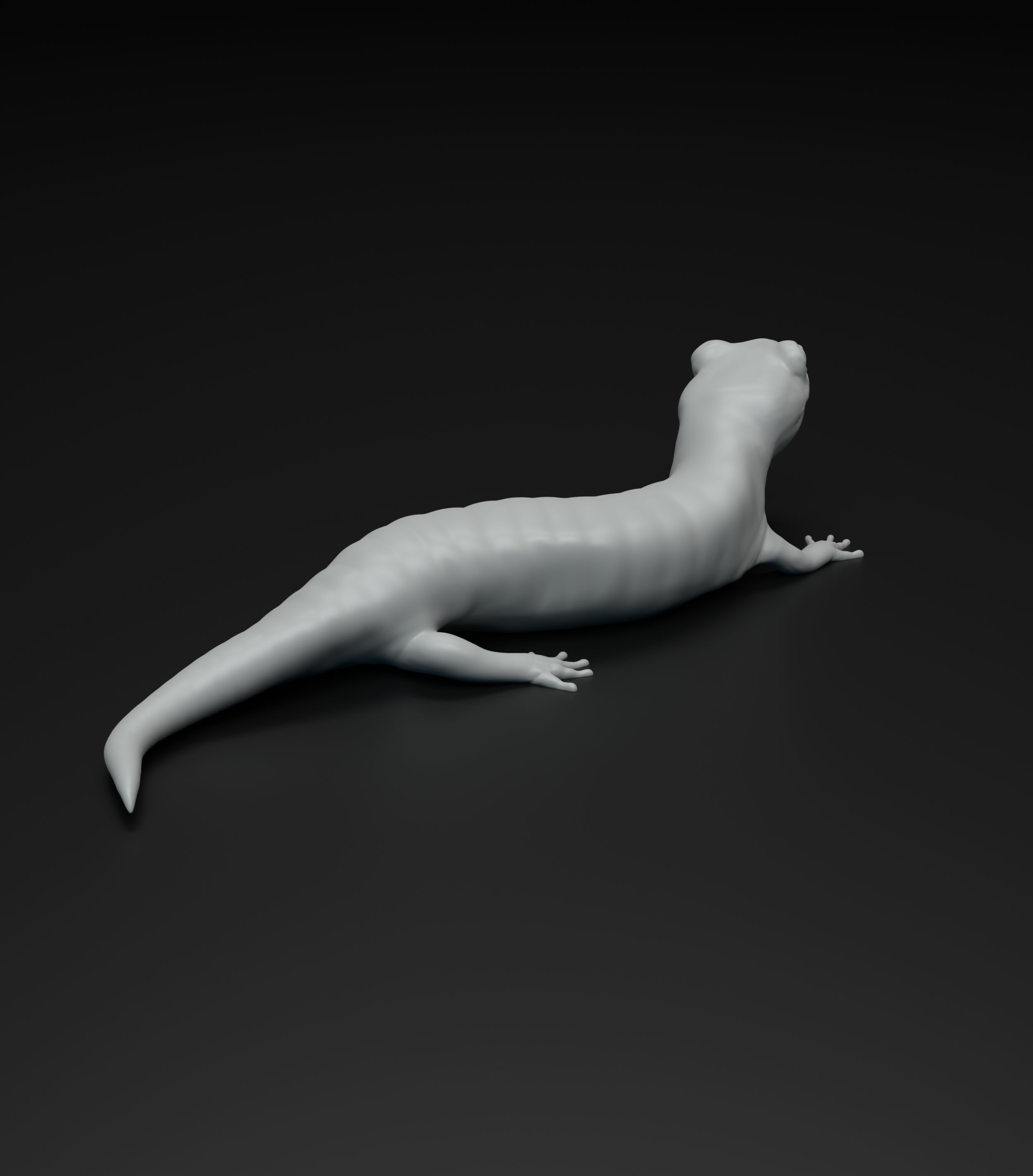 Salamander model intended for 3D printing 3D print model_8