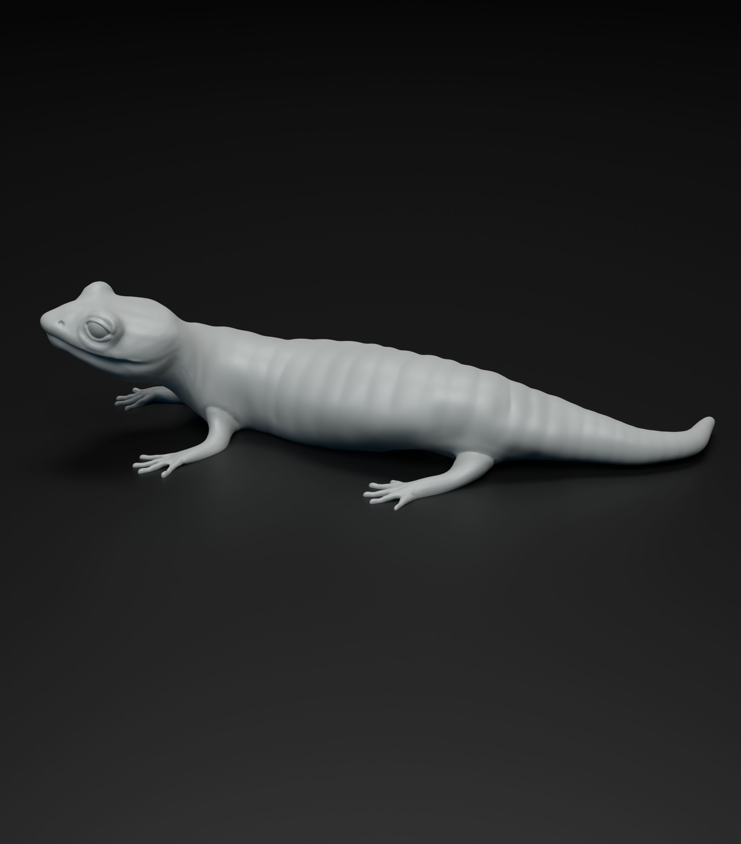 Salamander model intended for 3D printing 3D print model_1