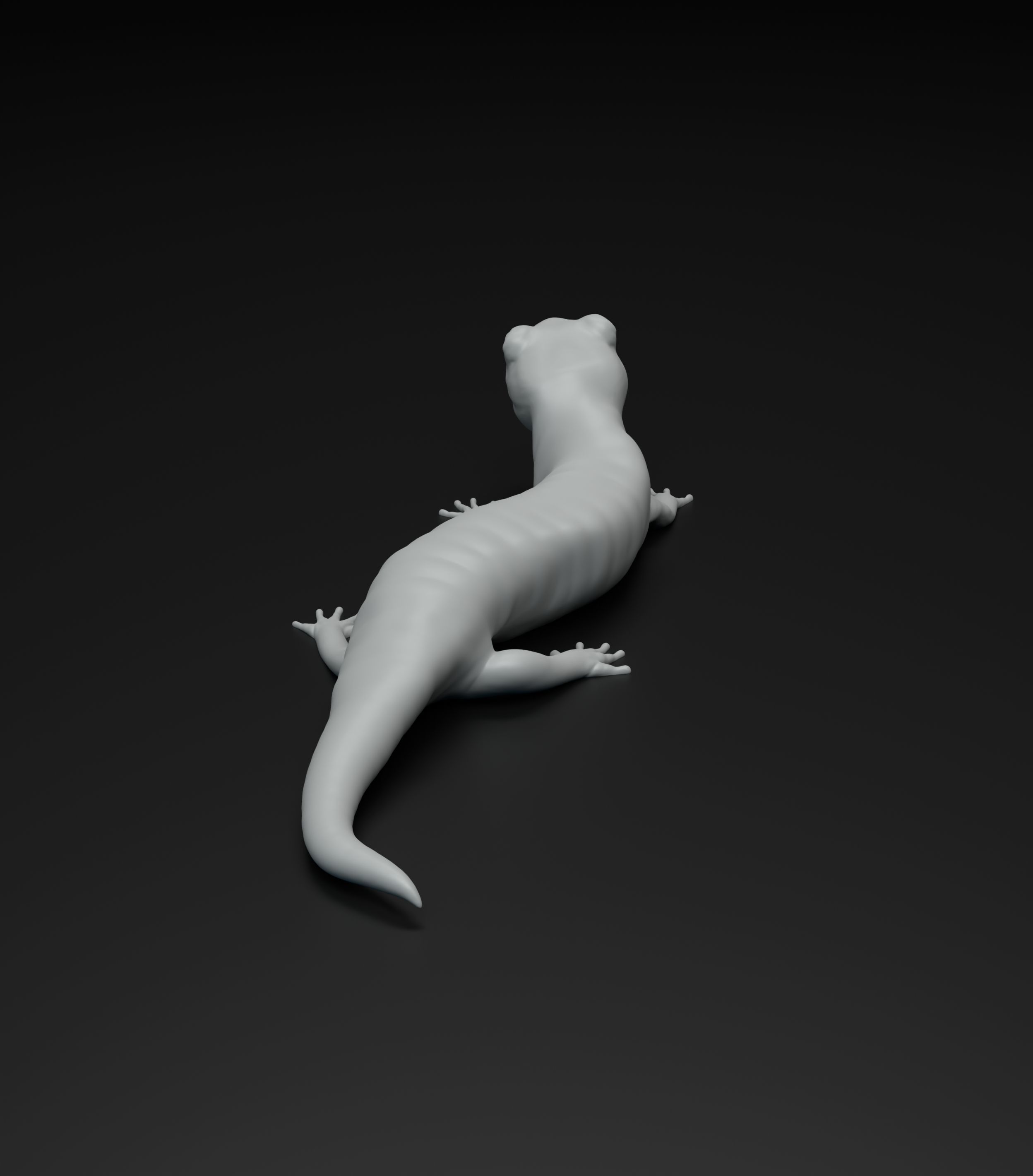 Salamander model intended for 3D printing 3D print model_7