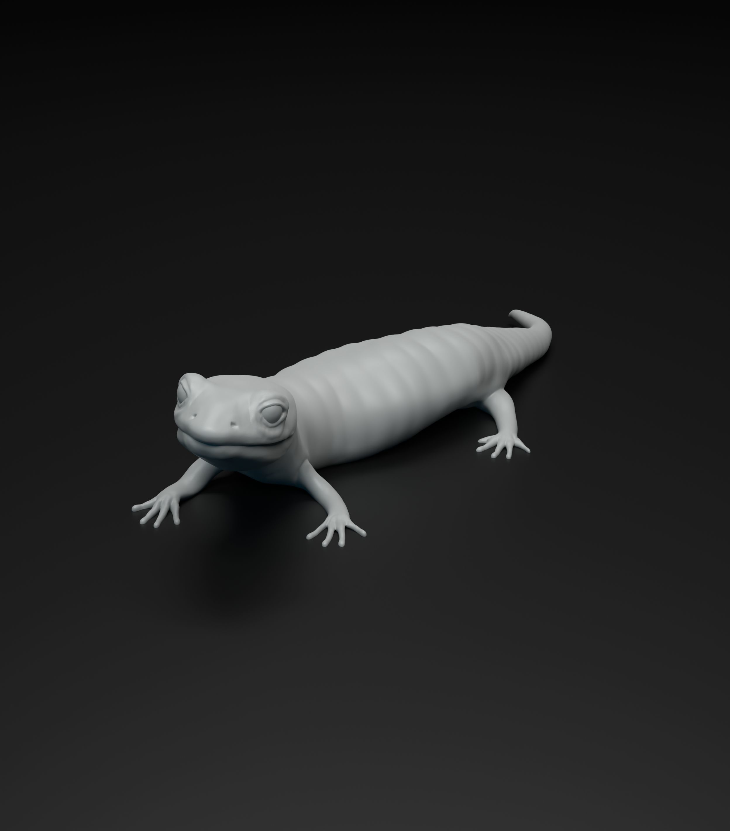 Salamander model intended for 3D printing 3D print model_4