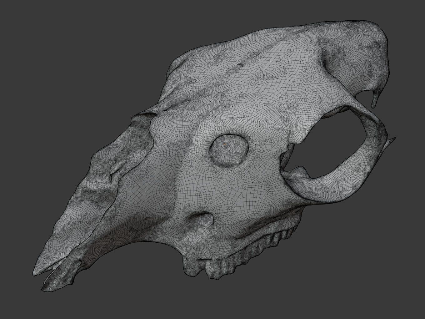 Cranium Charm Llama Bronze 3D print model_10