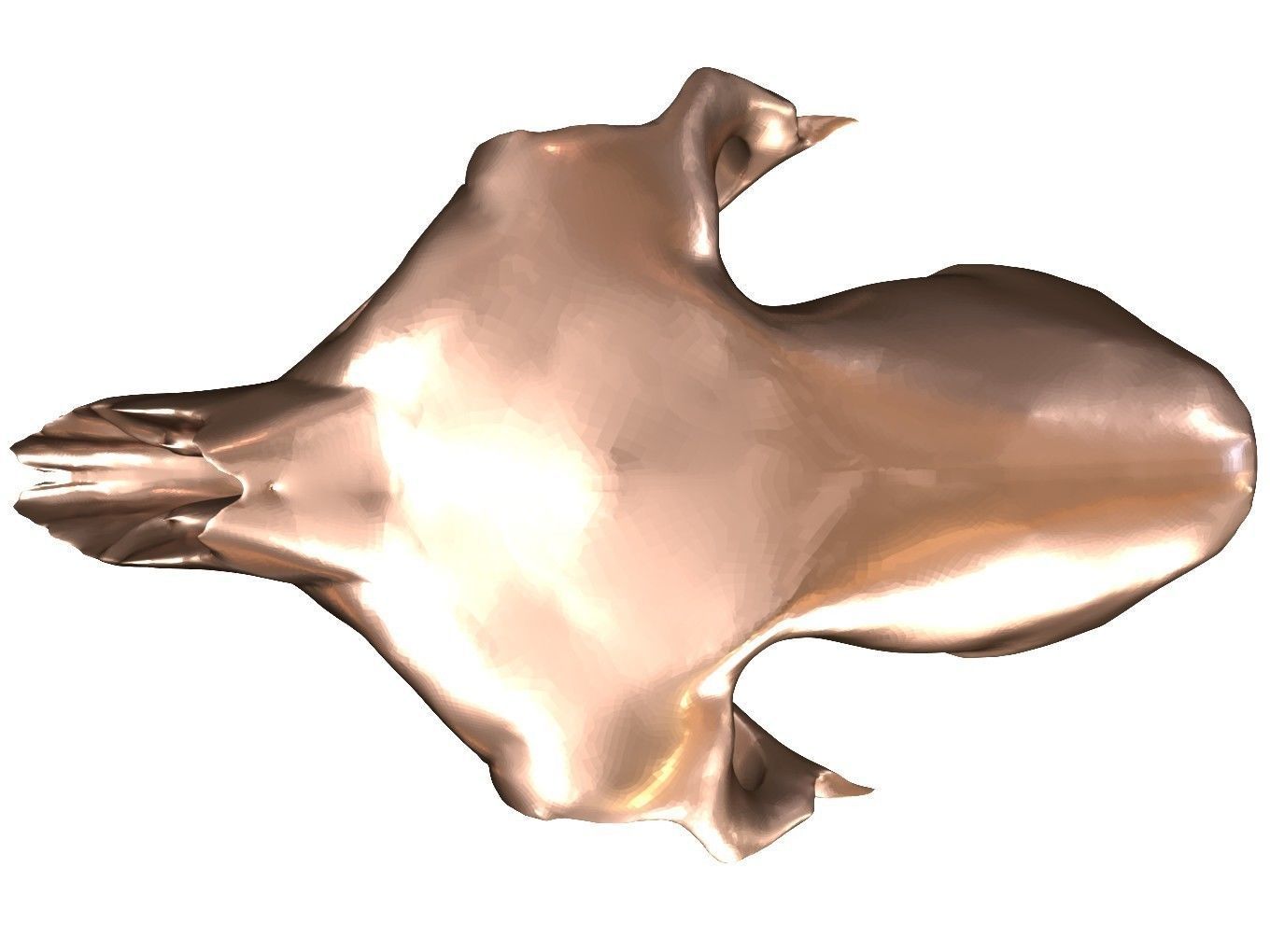 Cranium Charm Llama Bronze 3D print model_2