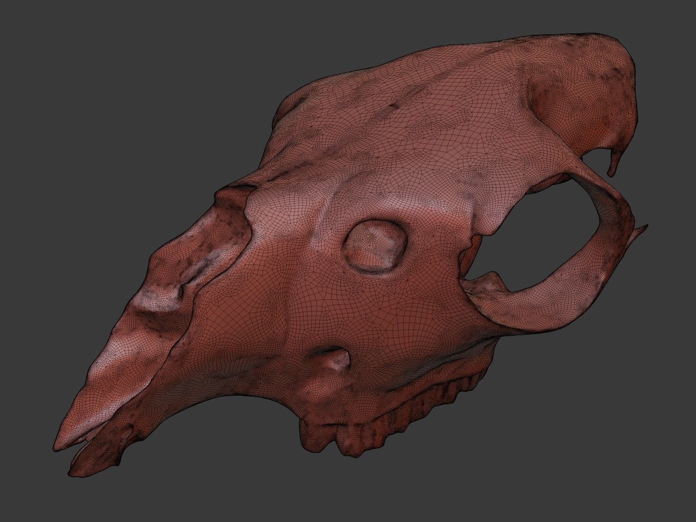 Cranium Charm Llama Bronze 3D print model_11