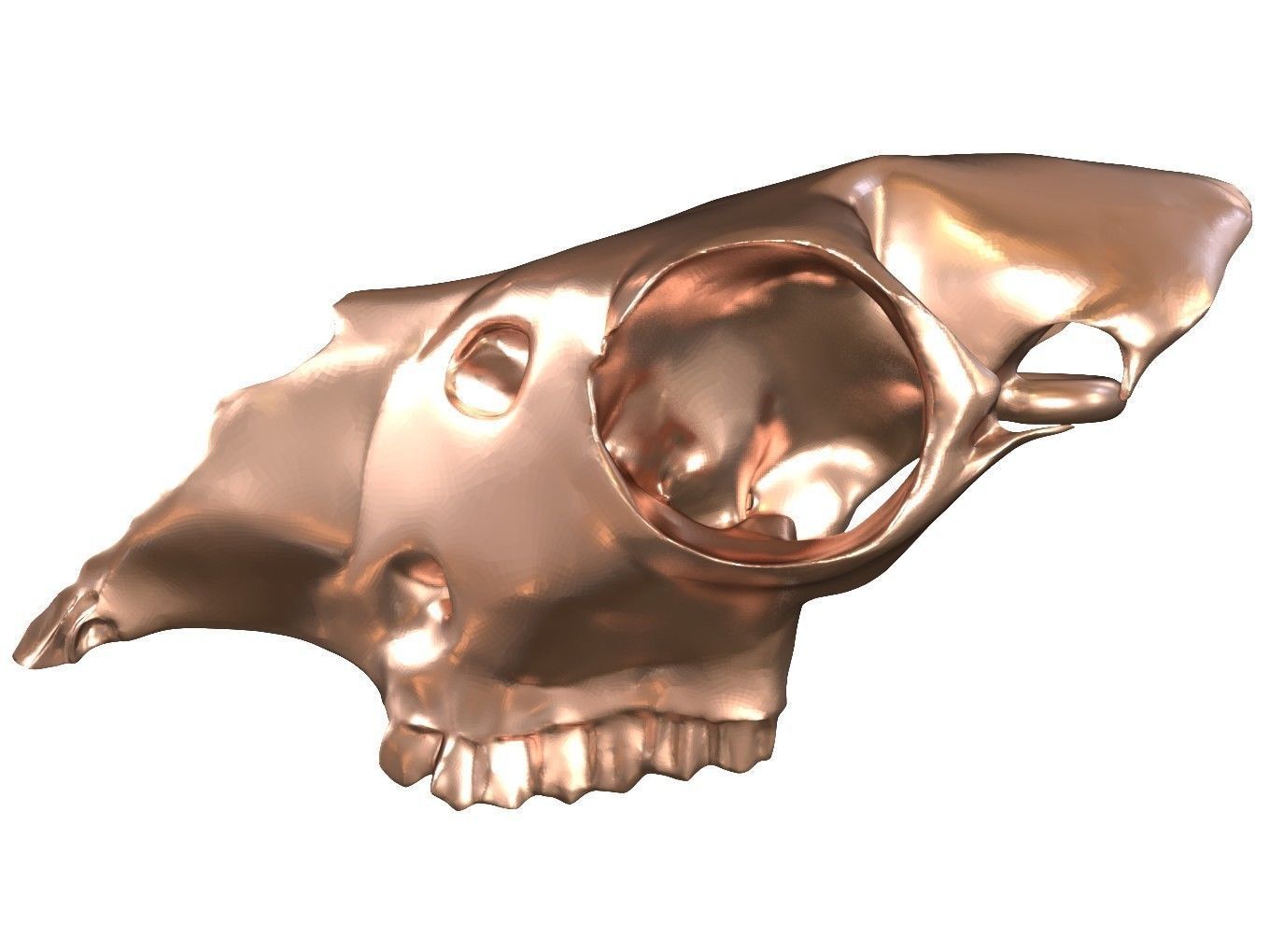 Cranium Charm Llama Bronze 3D print model_1