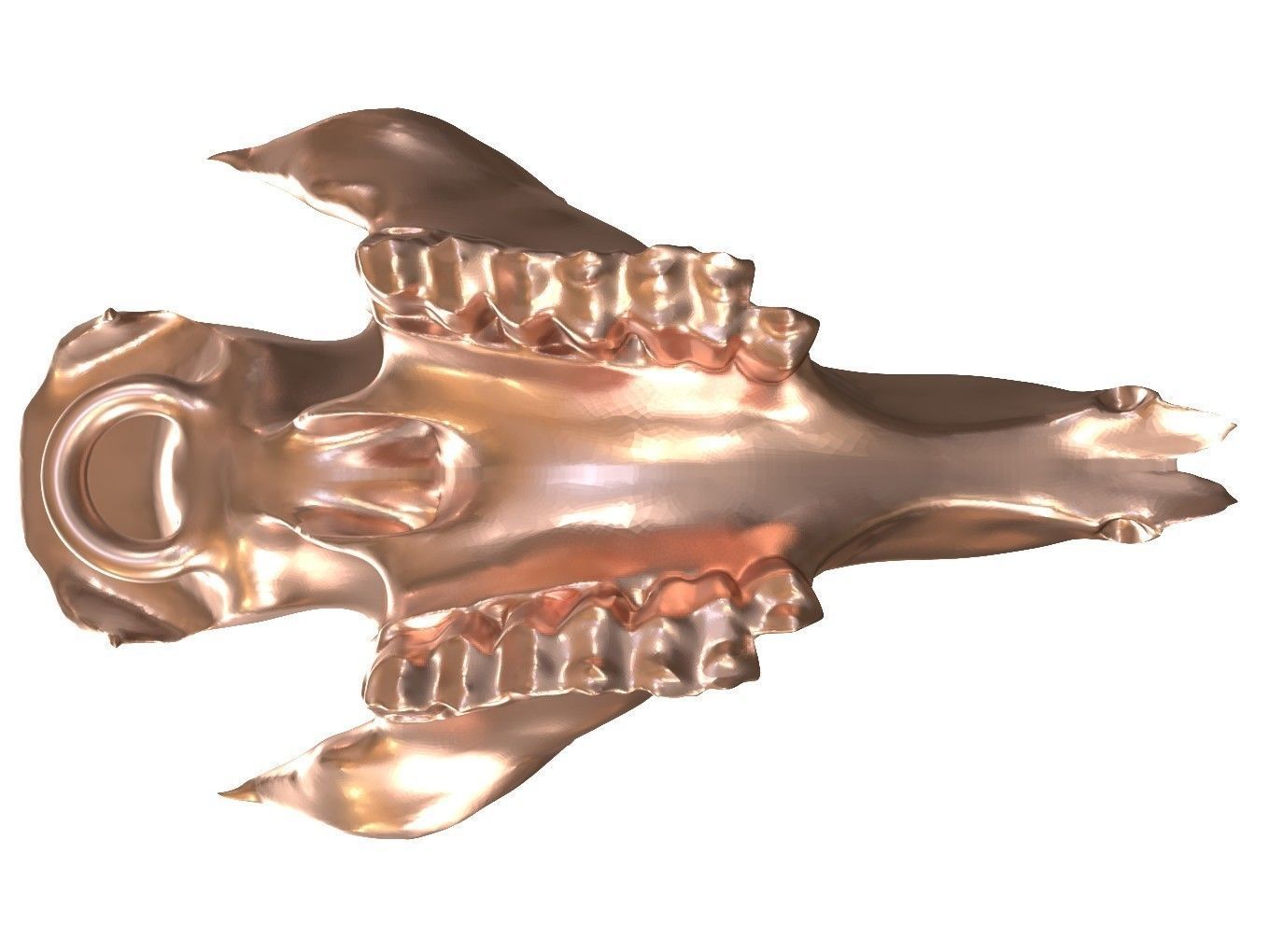 Cranium Charm Llama Bronze 3D print model_5