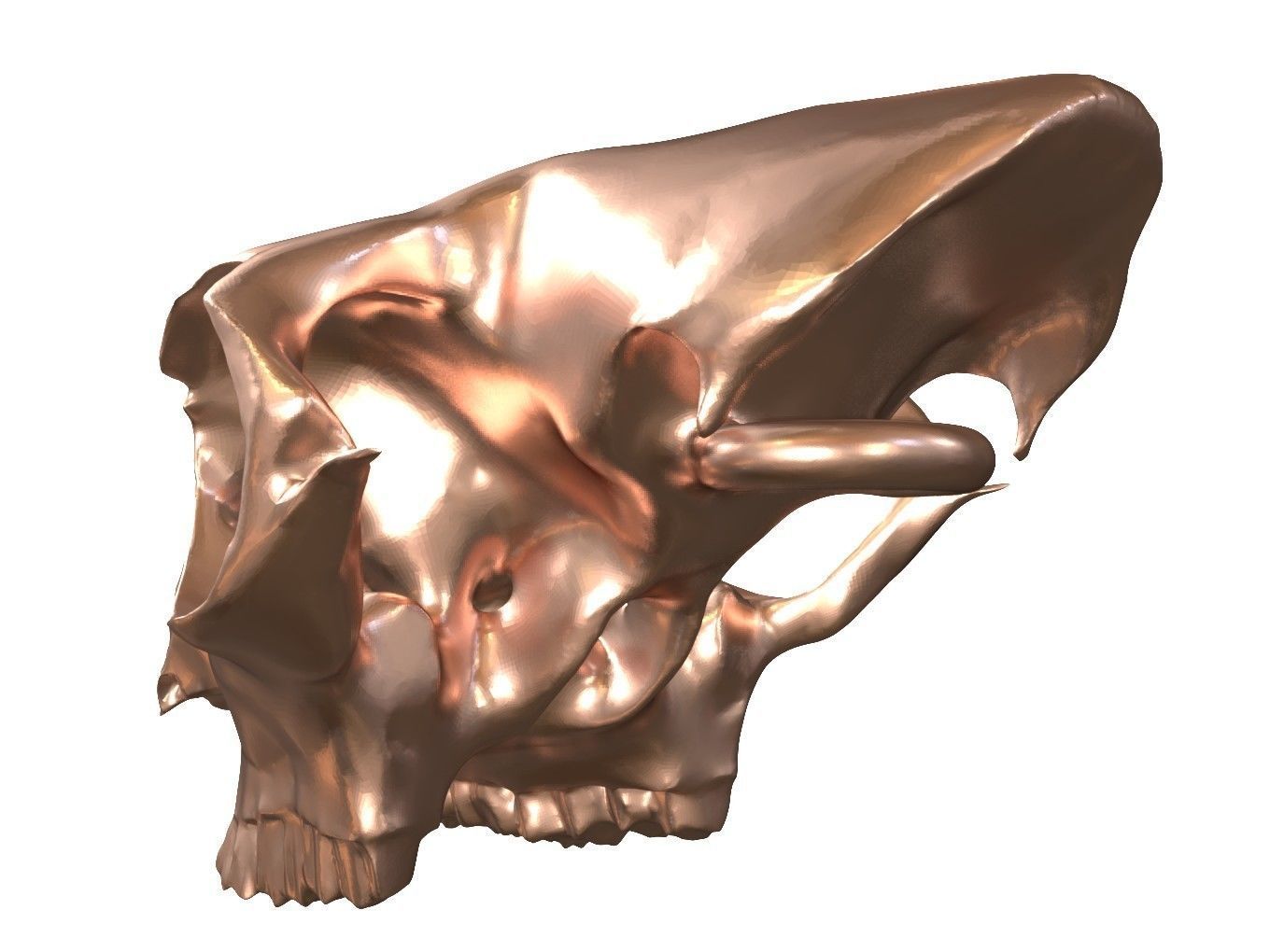 Cranium Charm Llama Bronze 3D print model_3