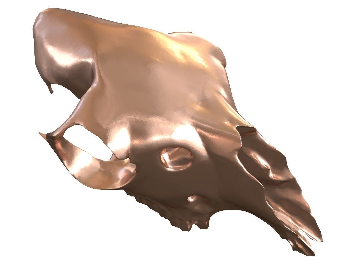 Cranium Charm Llama Bronze 3D print model_6