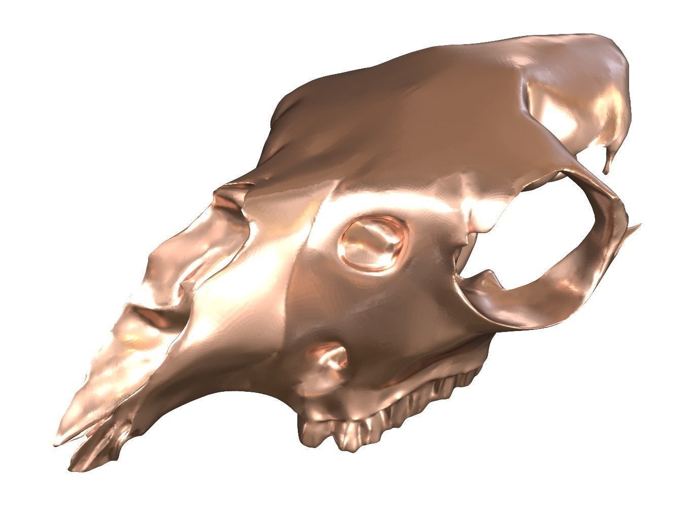 Cranium Charm Llama Bronze 3D print model_8