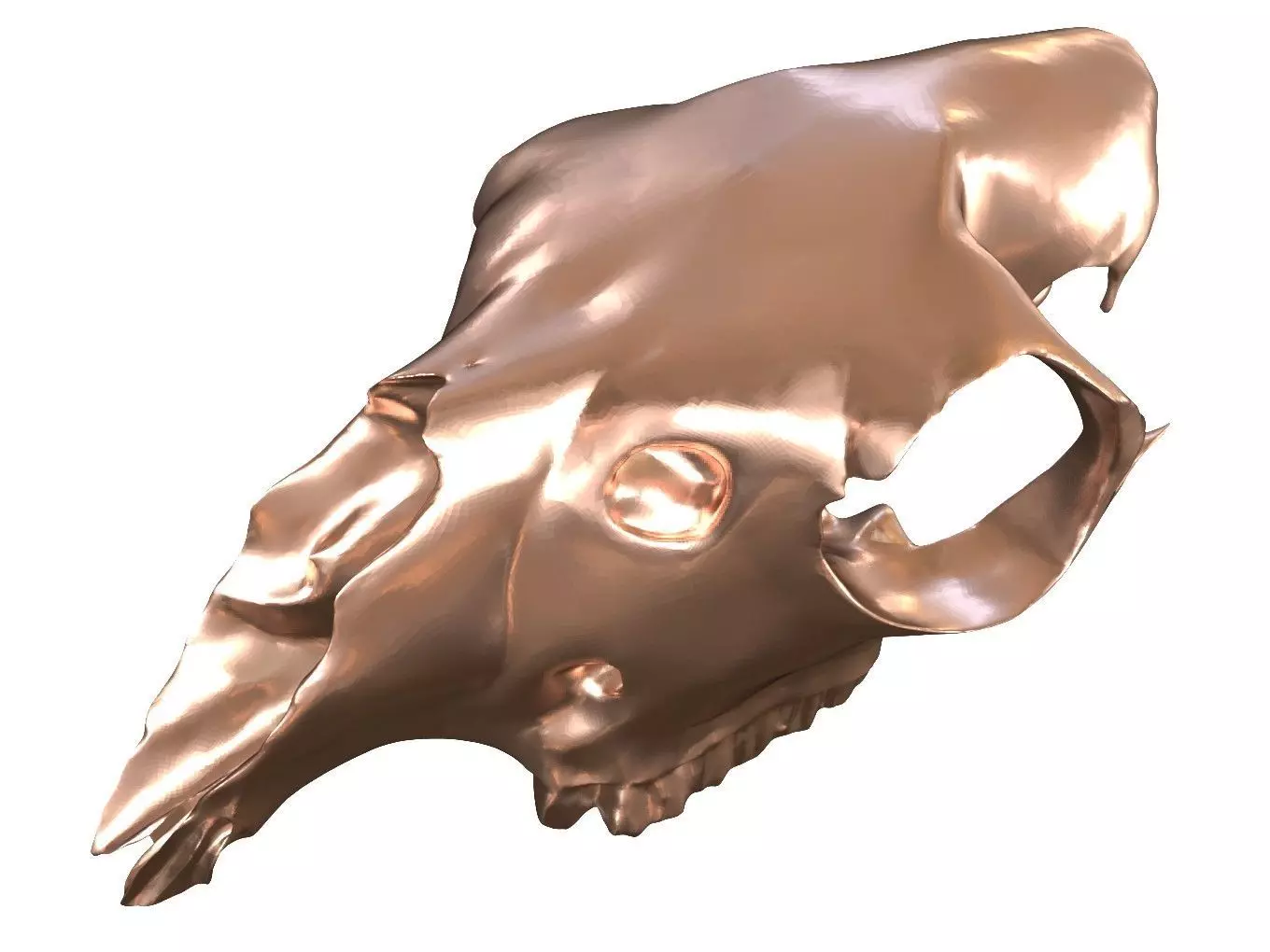 Cranium Charm Llama Bronze 3D print model_0