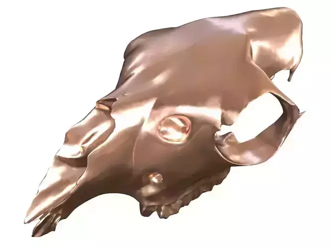 Cranium Charm Llama Bronze