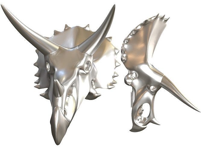 Cranium Charm Triceratops Silver 3D print model