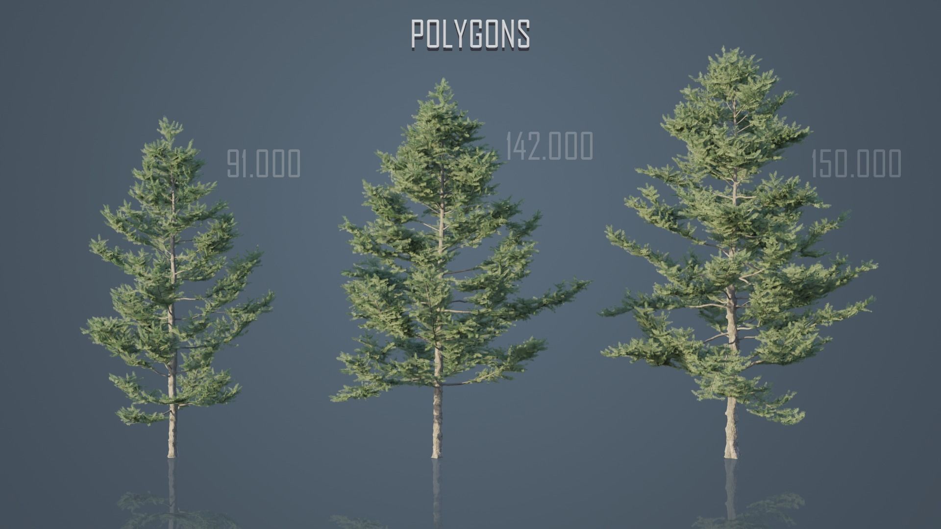 Conifer Trees 3D Model Collection_16