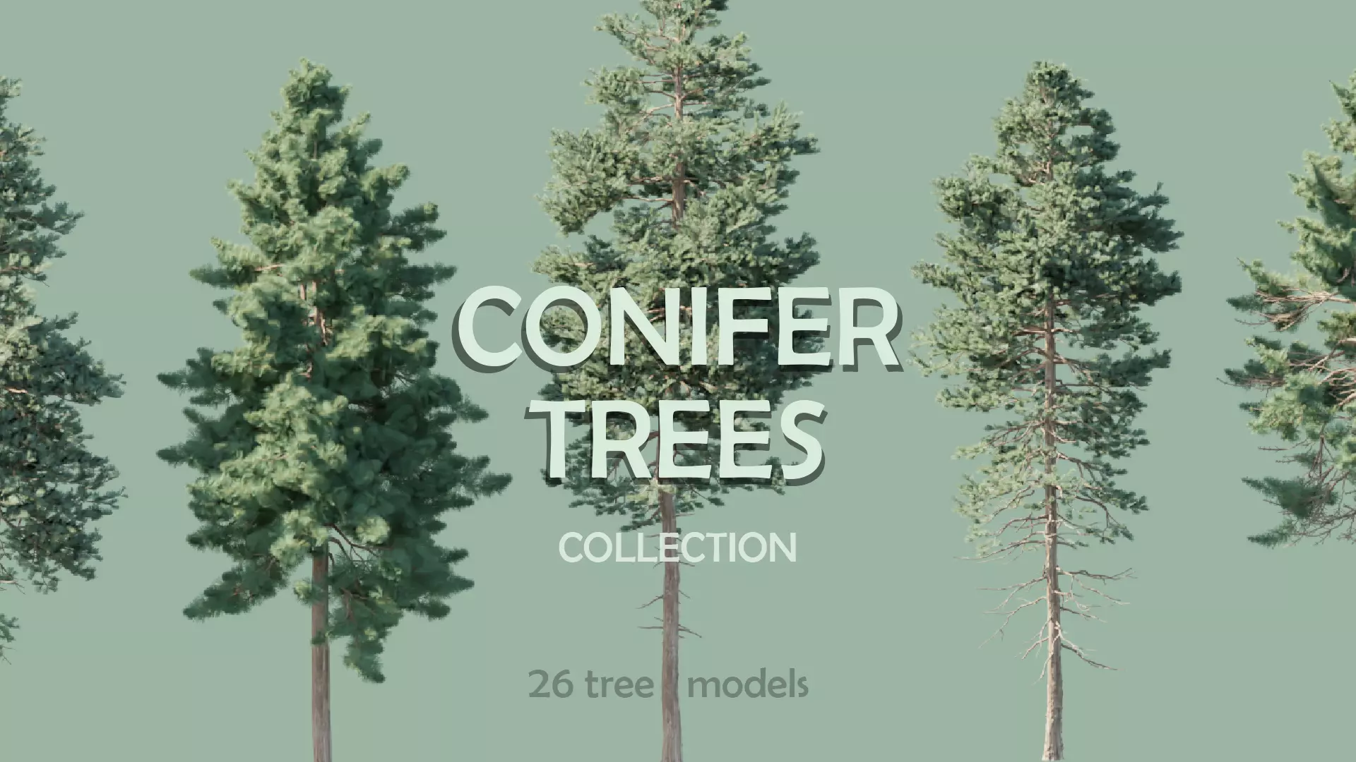 Conifer Trees 3D Model Collection_0