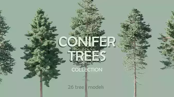 Conifer Trees 3D Model Collection