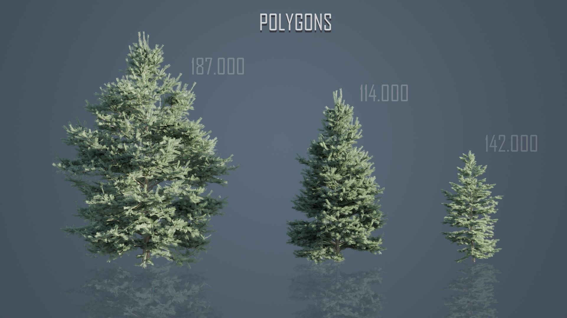 Conifer Trees 3D Model Collection_6
