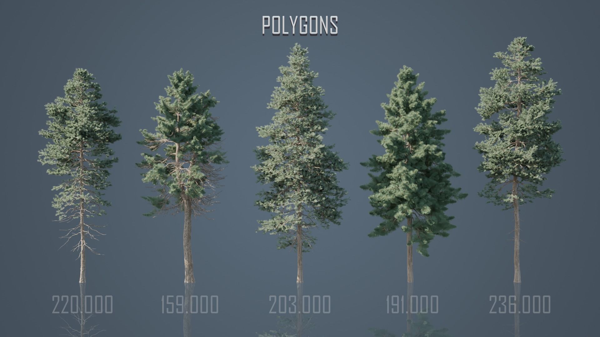 Conifer Trees 3D Model Collection_2